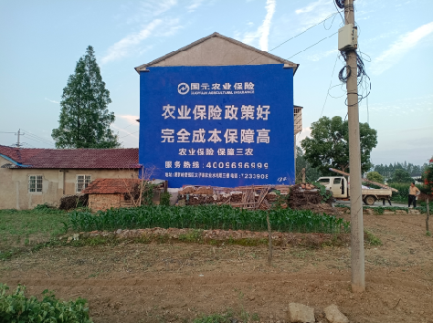 崇义墙体广告为何受追捧？